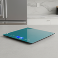 Touch Professional Digital Kitchen Scale 12 lb Teal